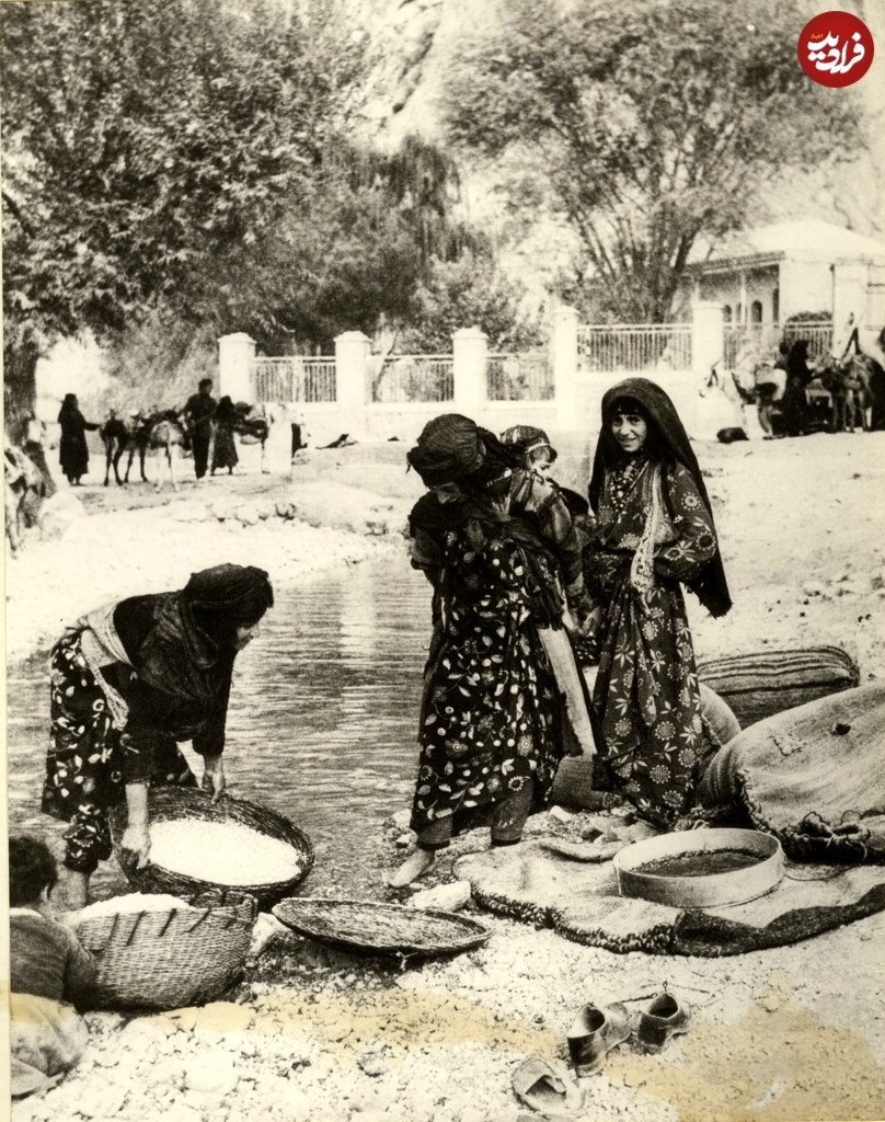 برنج شستن زنان کرد