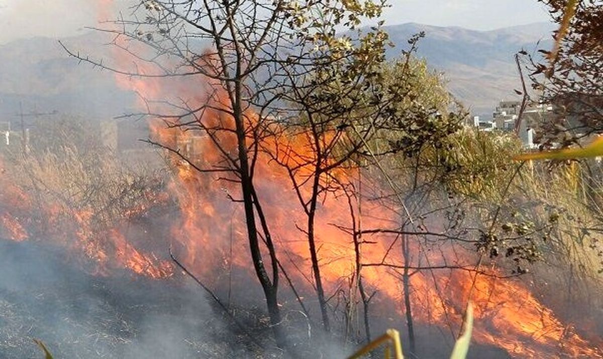 پارک ملی گلستان درگیر آتش‌سوزی