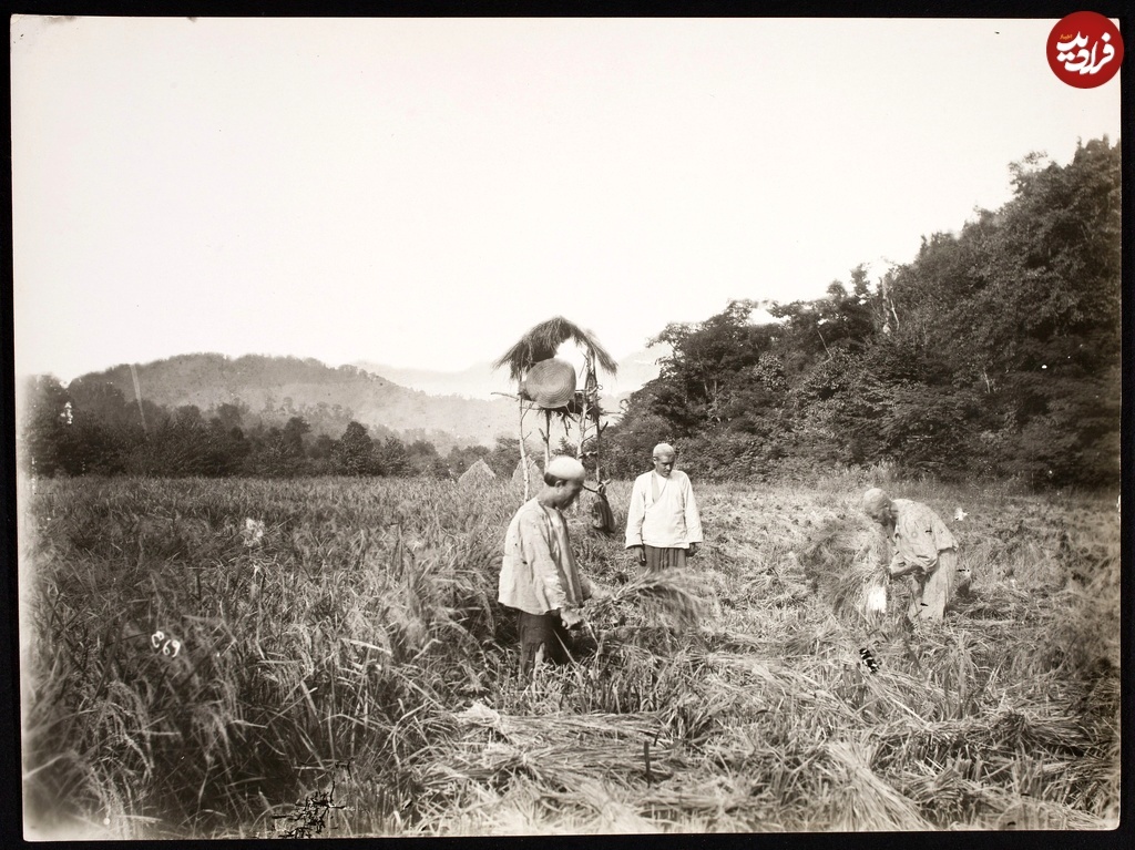 گروهی از کشاورزان گیلانی