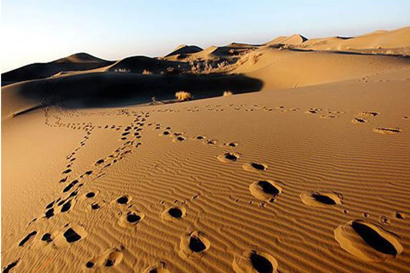 بهشت شنی ایران