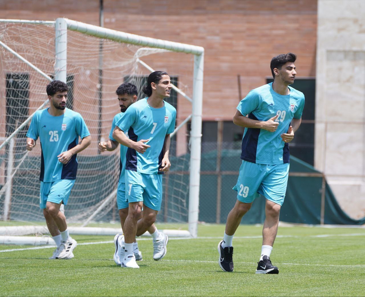 تیم ملی فوتبال