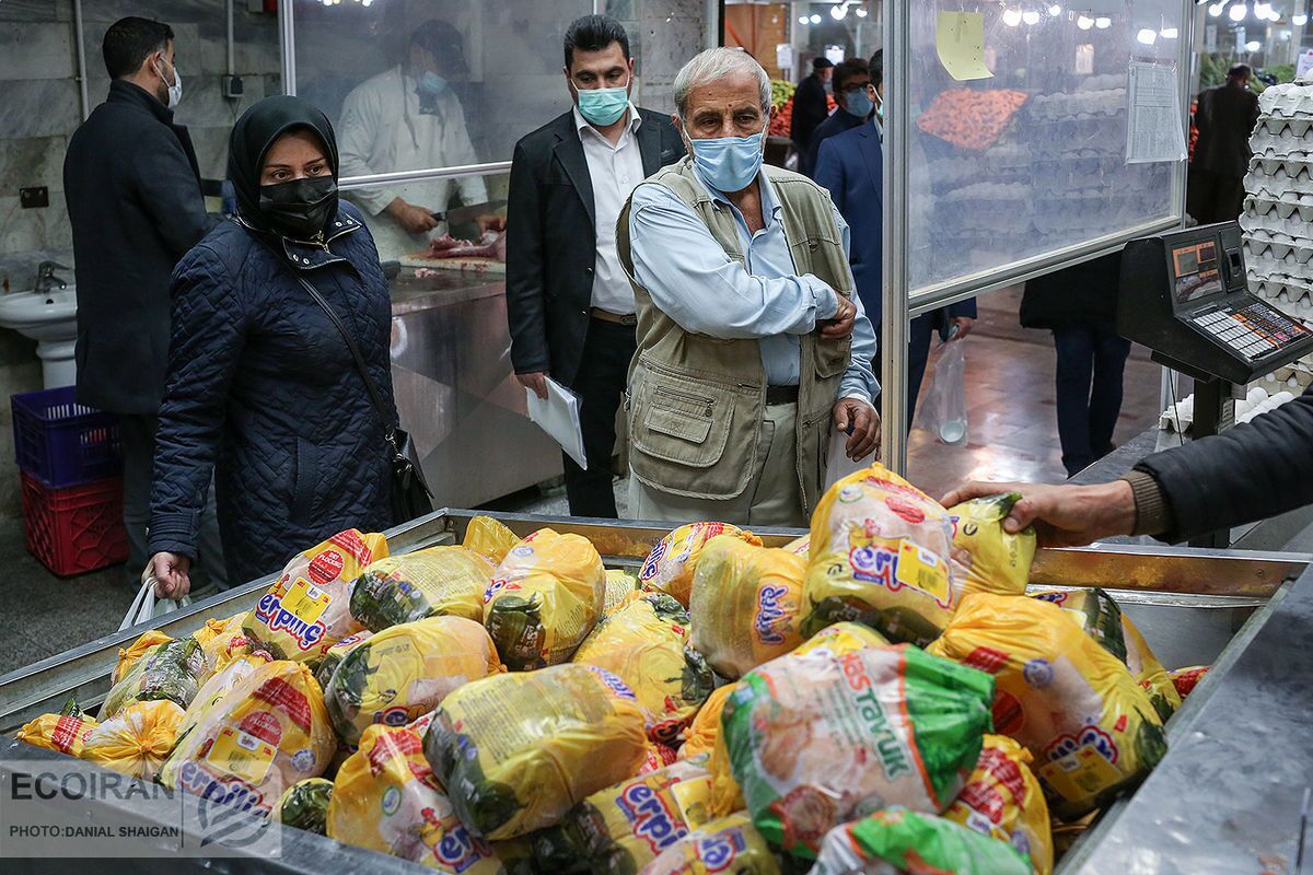 توزیع گوشت و مرغ تنظیم بازار