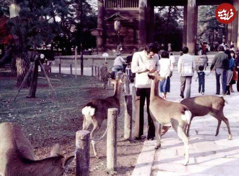 تیپ متفاوت شهید تندگویان