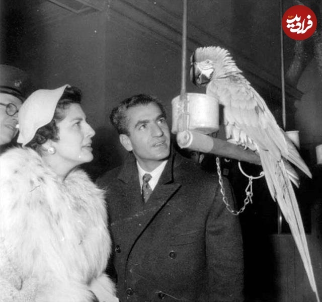 محمدرضا پهلوی در حال حرف زدن با طوطی