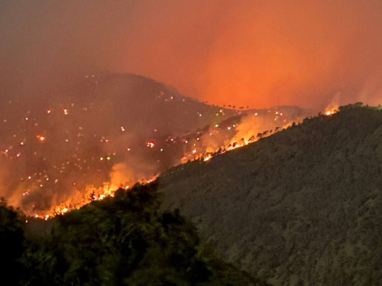 آتش‌سوزی در جنگل‌های لاذقیه سوریه