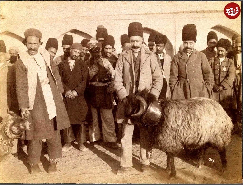 قوچ‌باز‌ها قبل از شروع مسابقه