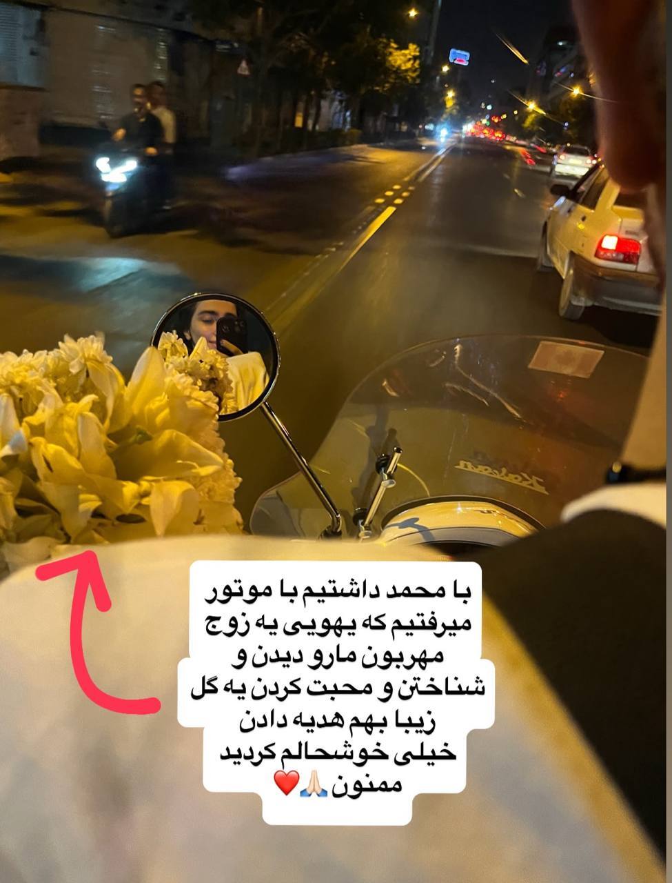 بازیگر سریال پایتخت