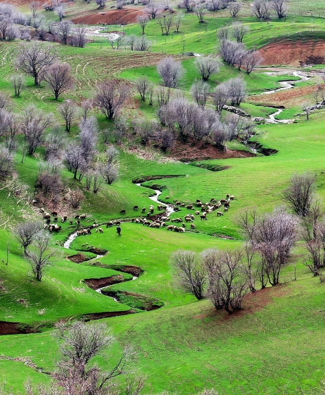 طبیعت سرسبز و رویایی مخمل‌کوه