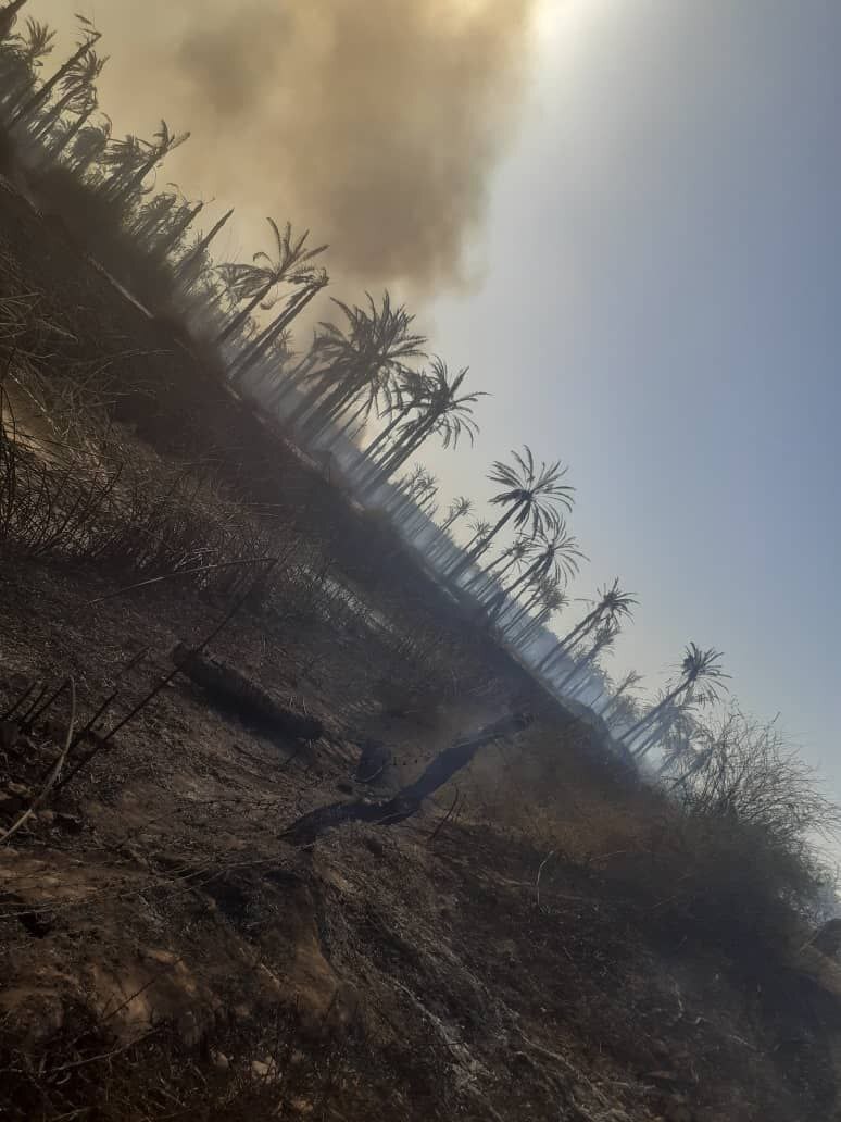 آتش‌سوزی گسترده