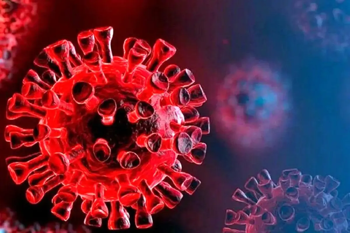 ویروس کرونا ویروس کرونا
