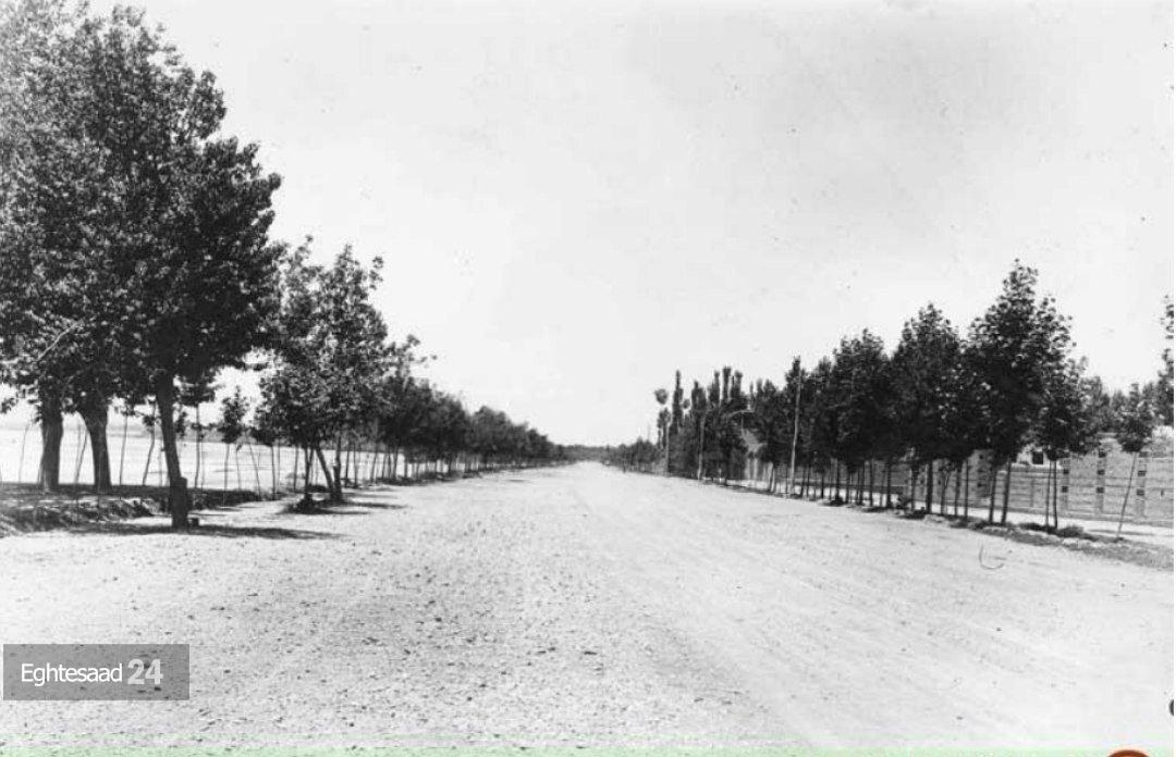 شکل و شمایل عجیب خیابان ولیعصر