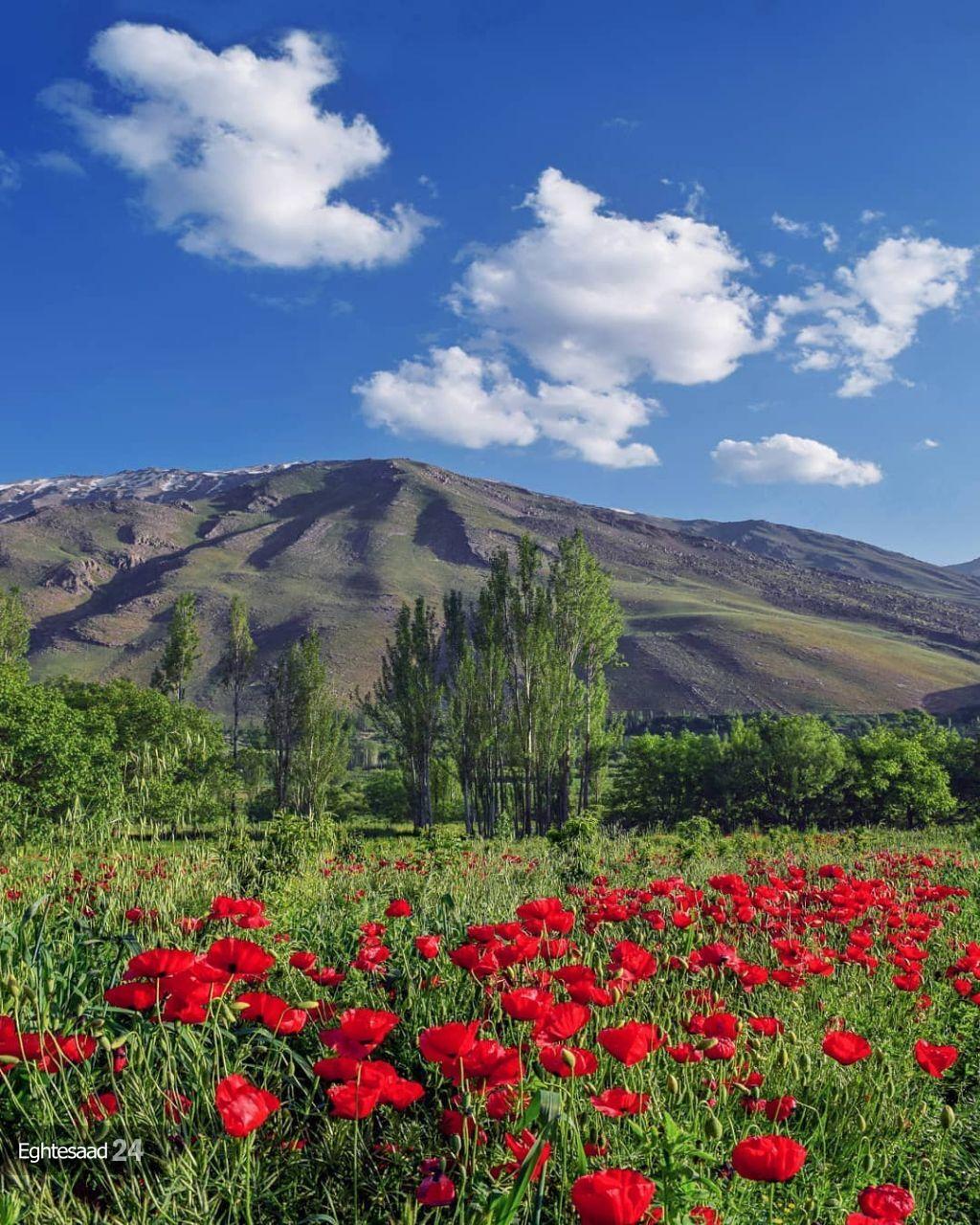 شهر ونایی منطقه‌ای خیال انگیز در دامنه کوهساران