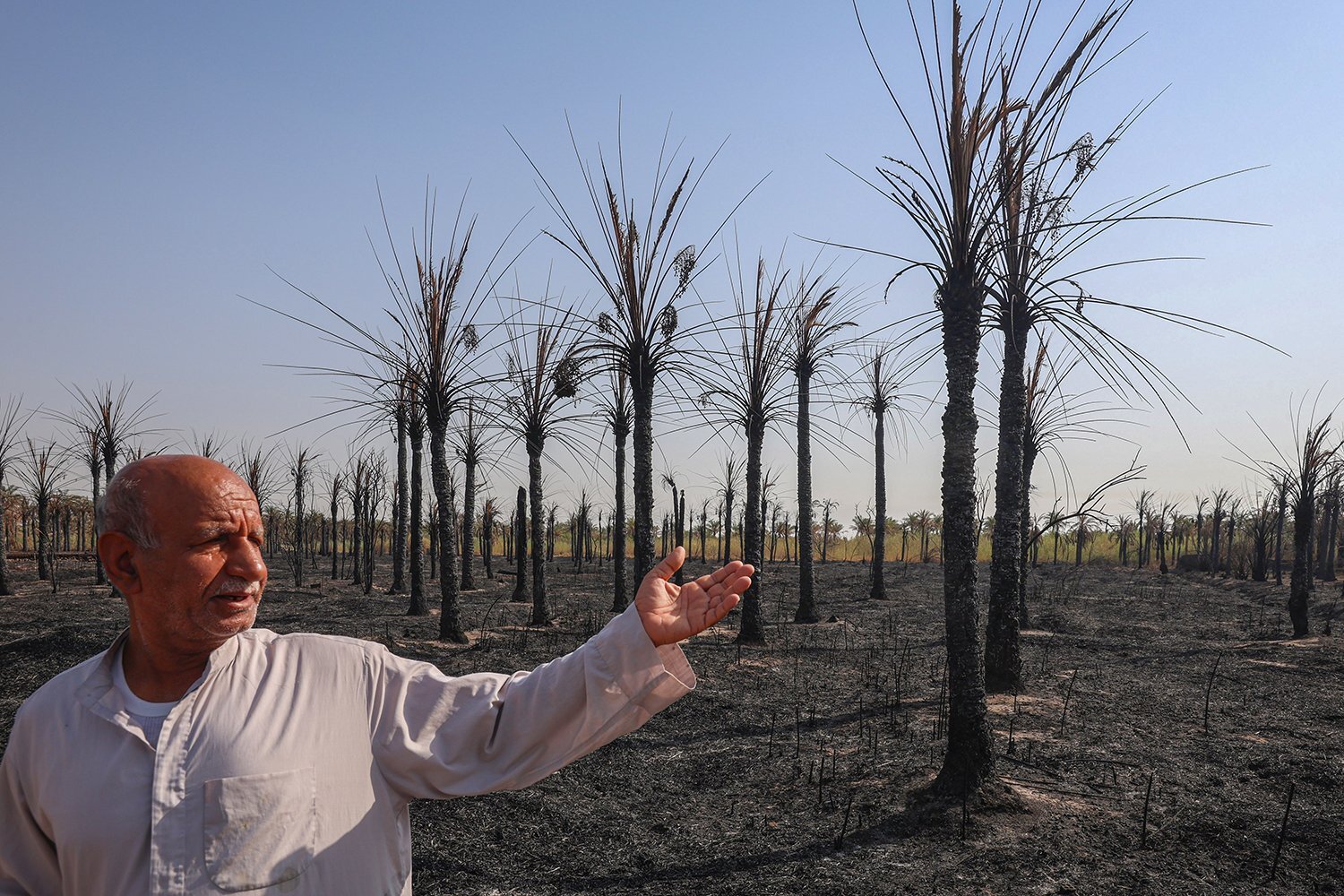 هزاران نخل سوخته آبادان بیمه نداشتند