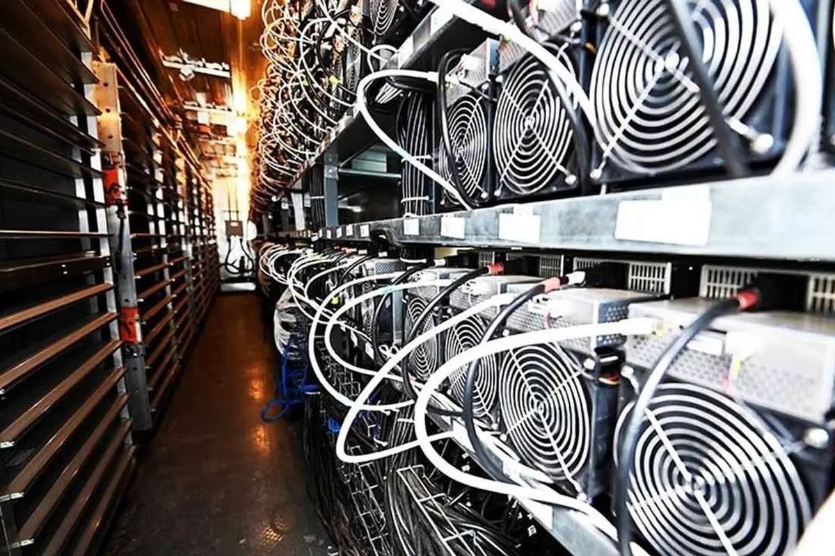 برق دزدک‌ها