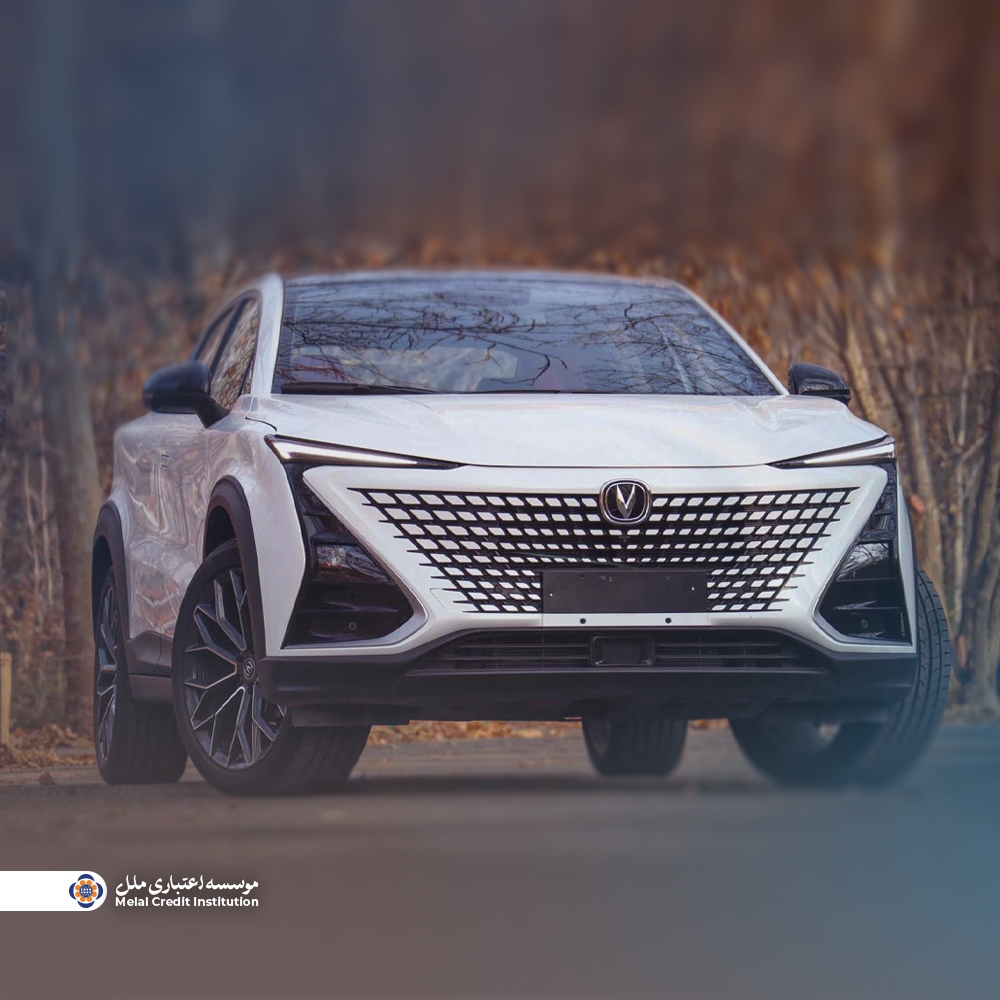 همکاری مؤسسه اعتباری ملل با طرح فروش خودرو‌های وارداتی