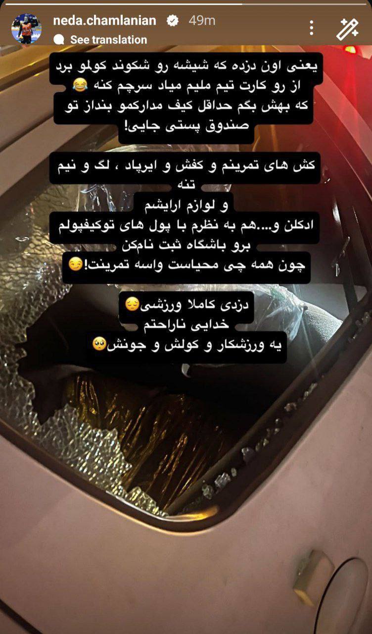 دزدی از همسر دانیال اسماعیلی‌فر وسط خیابان!