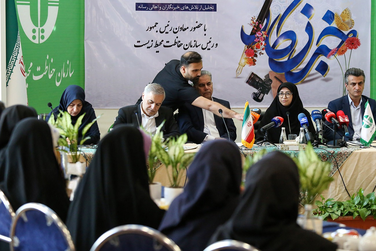 شینا انصاری