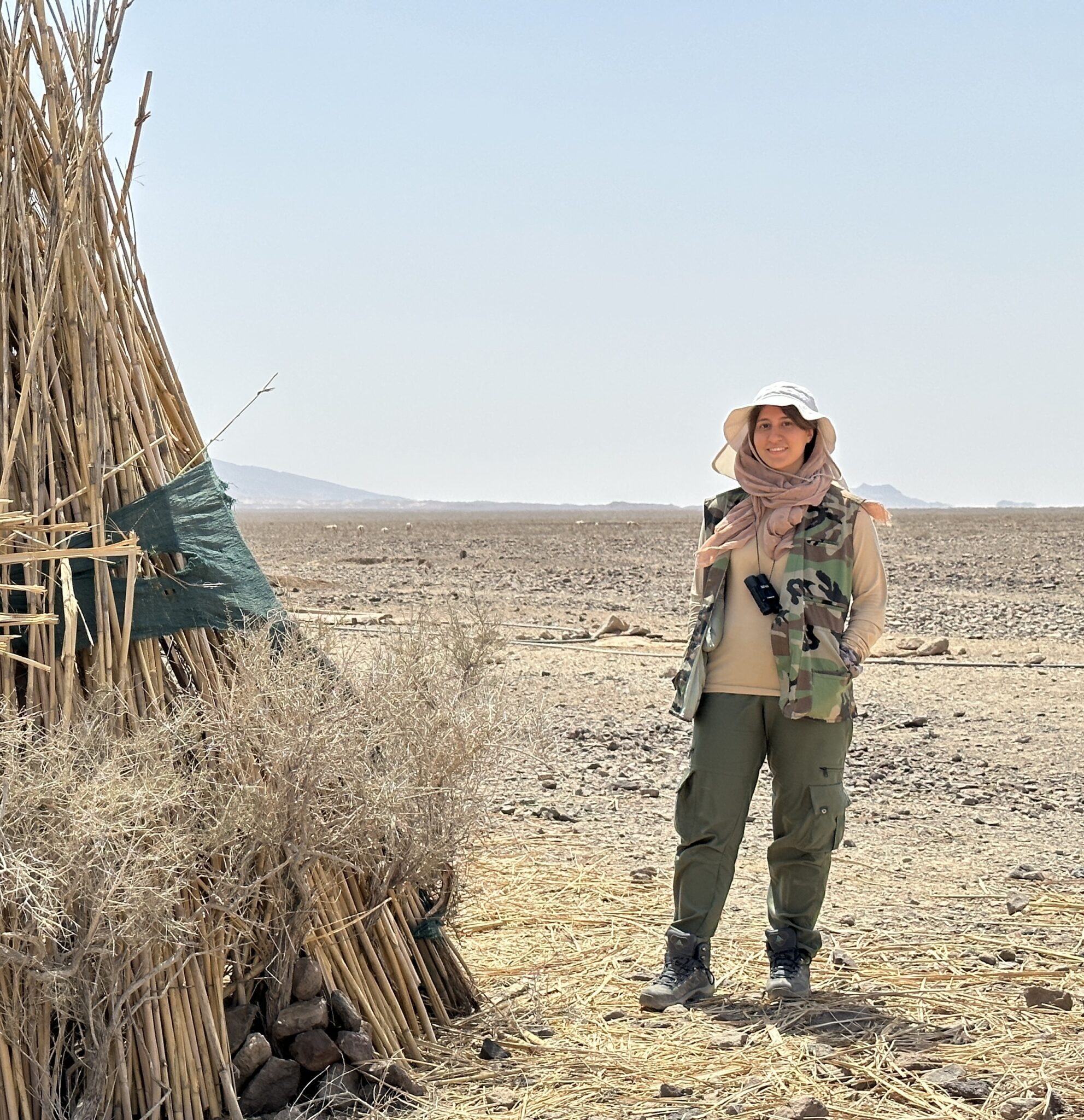 مهاجرت ایرانیان