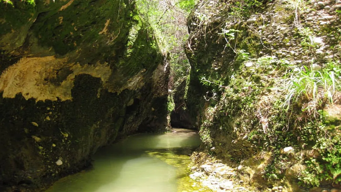 دره انار خوزستان