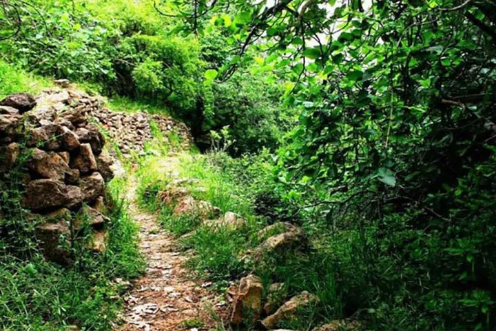 دره انار خوزستان