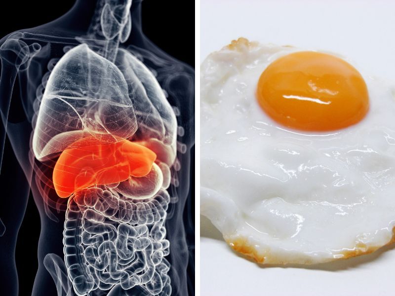 تخم مرغ برای کبد خوب است؟