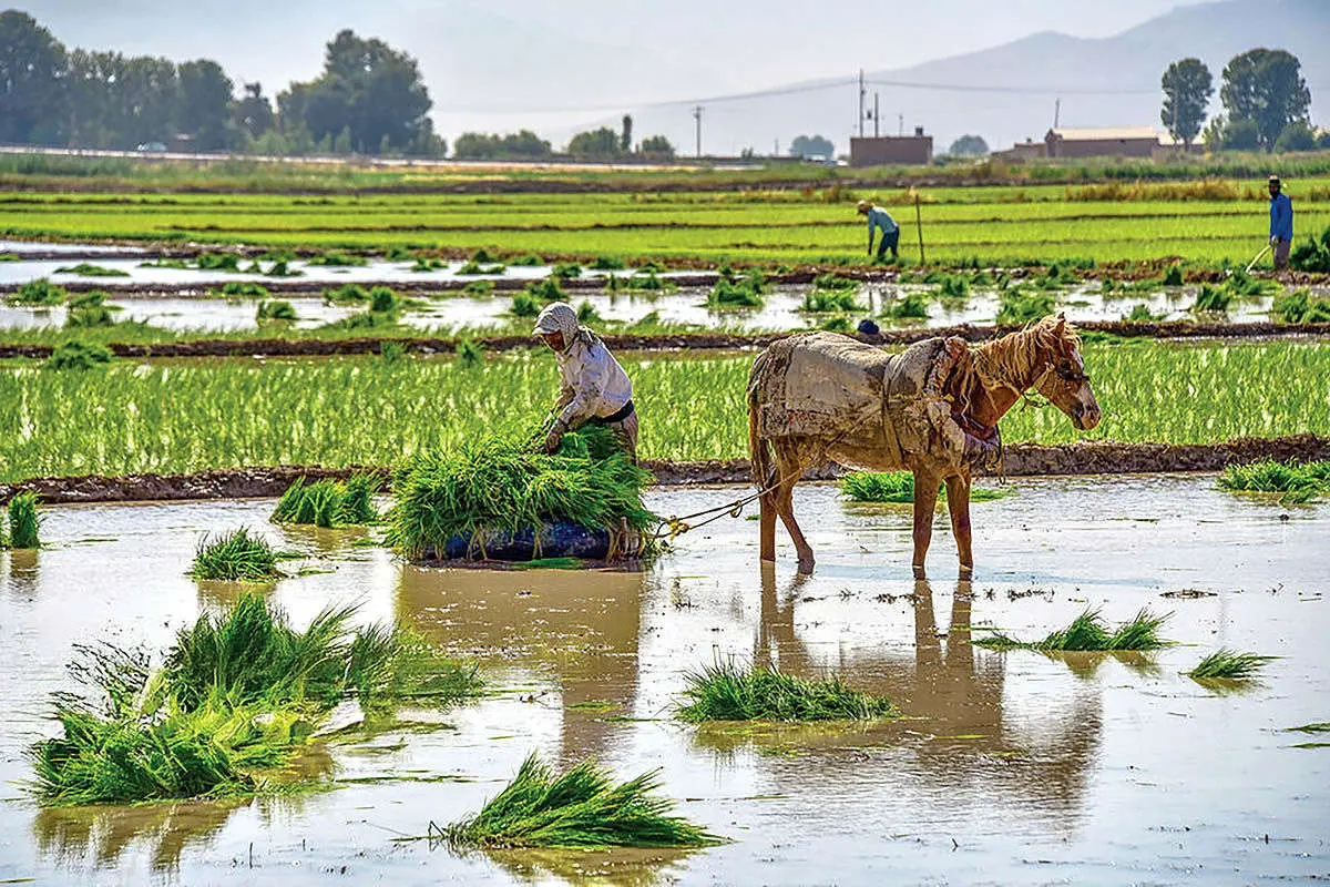 بحران کم‌آبی