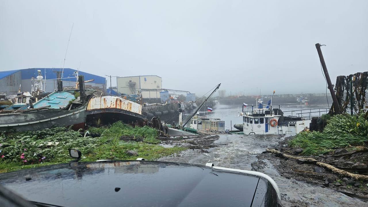 خسارات شدید سونامی