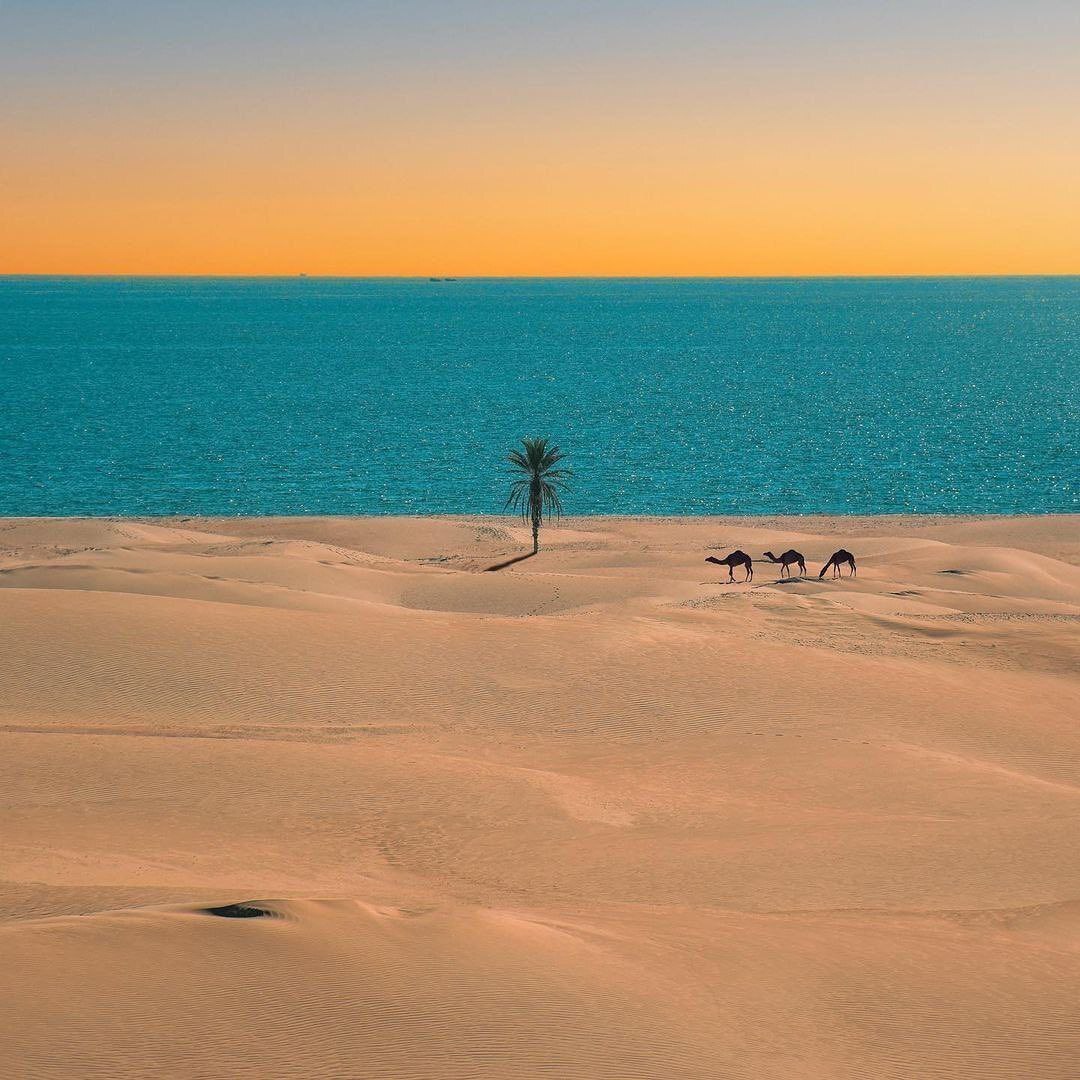 تلاقی کویر و دریا در ساحل زیبای چابهار