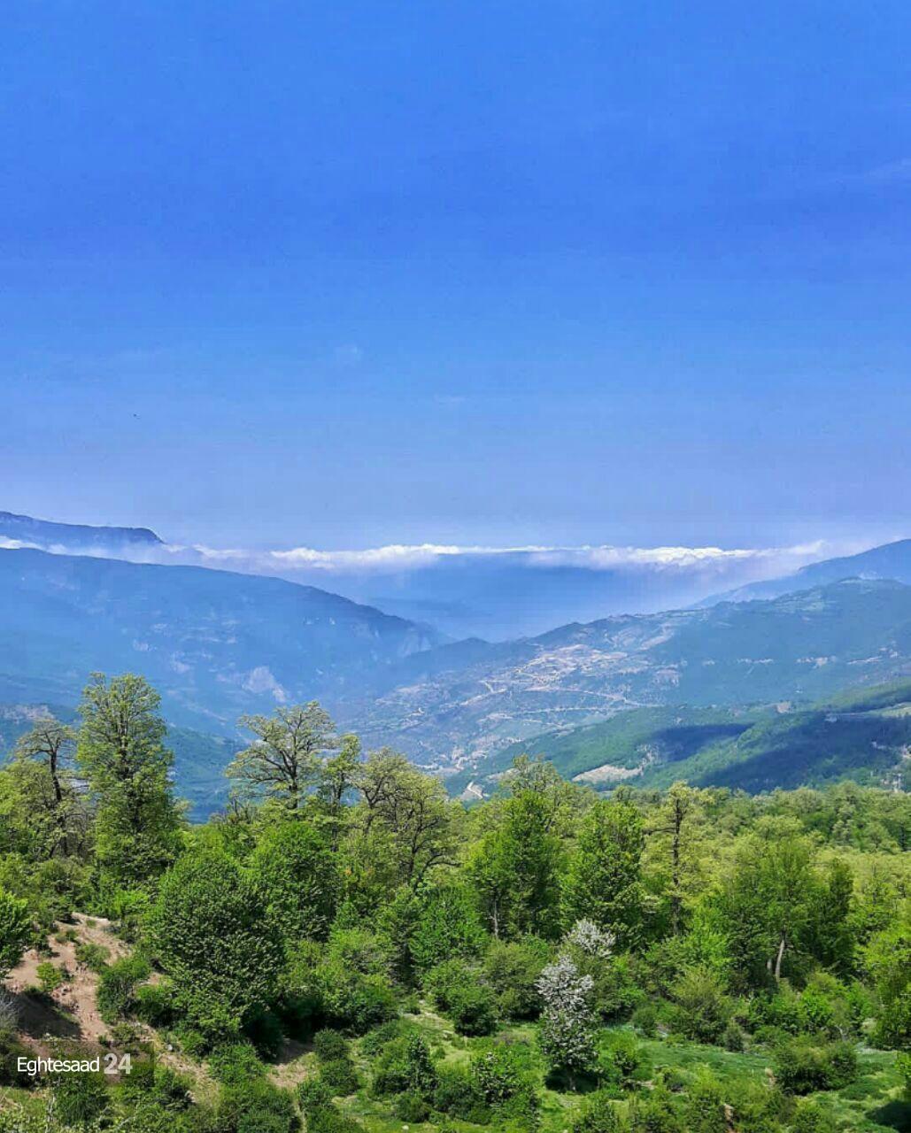 چشم انداز بی نظیر جنگل اولنگ