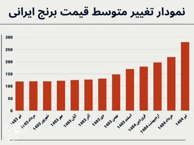 متوسط قیمت برنج ایرانی