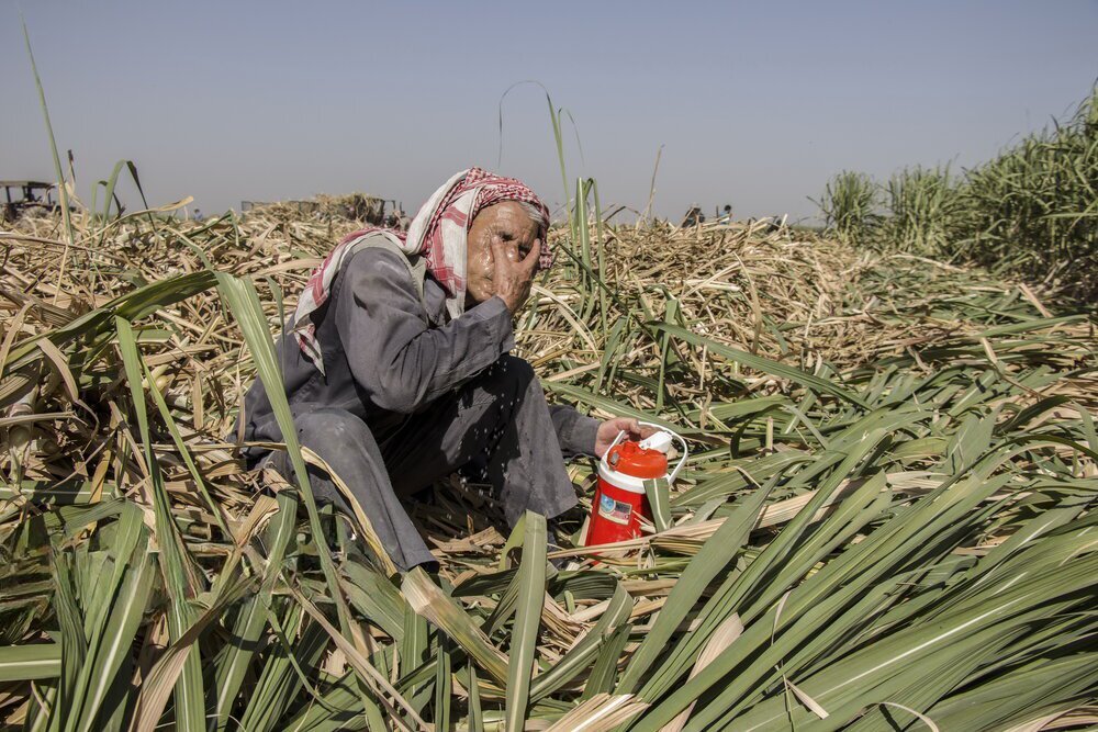 کارگری در گرمای کشنده