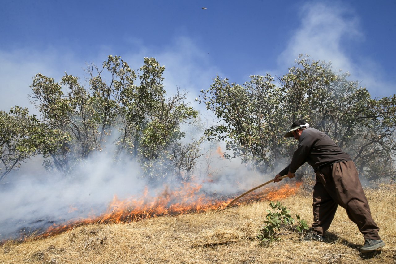 مرگ‌های دنباله‌دار در زاگرس