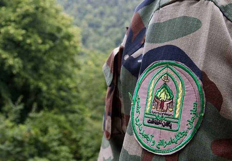 «جنگل قرنآباد» گلستان قرباني كورههاي غيرمجاز زغال «جنگل قرنآباد» گلستان قرباني كورههاي غيرمجاز زغال