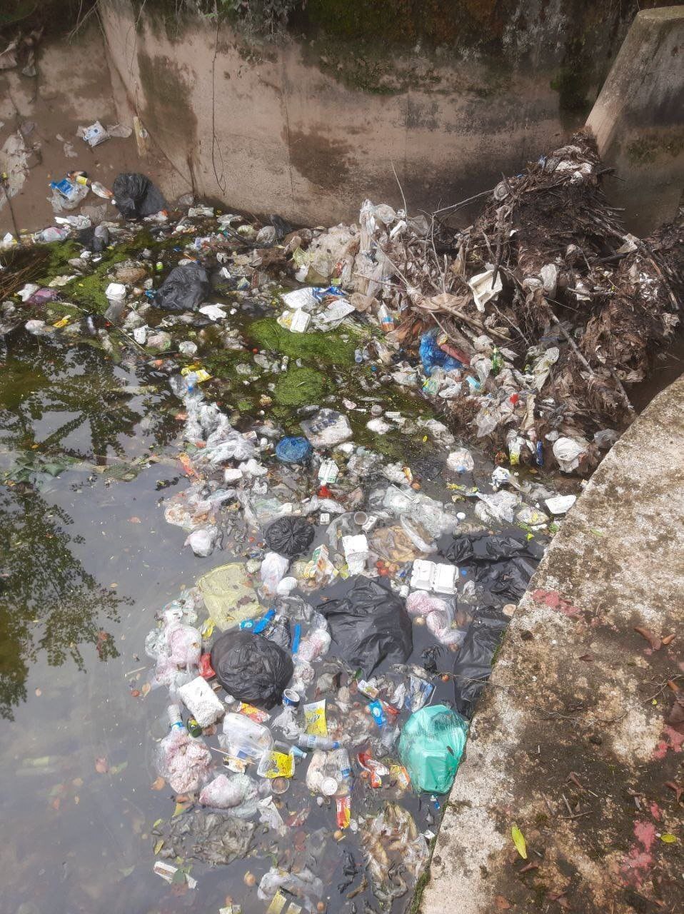 طبیعت شمال پس از موج سفر‌های تابستانی