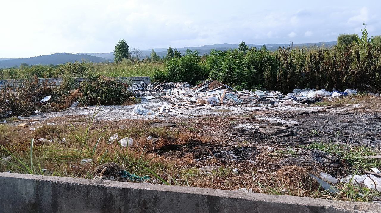 وضعیت بحرانی طبیعت شمال