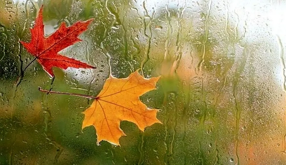 پاییز با یخ و سرما از راه می‌رسد+ عکس