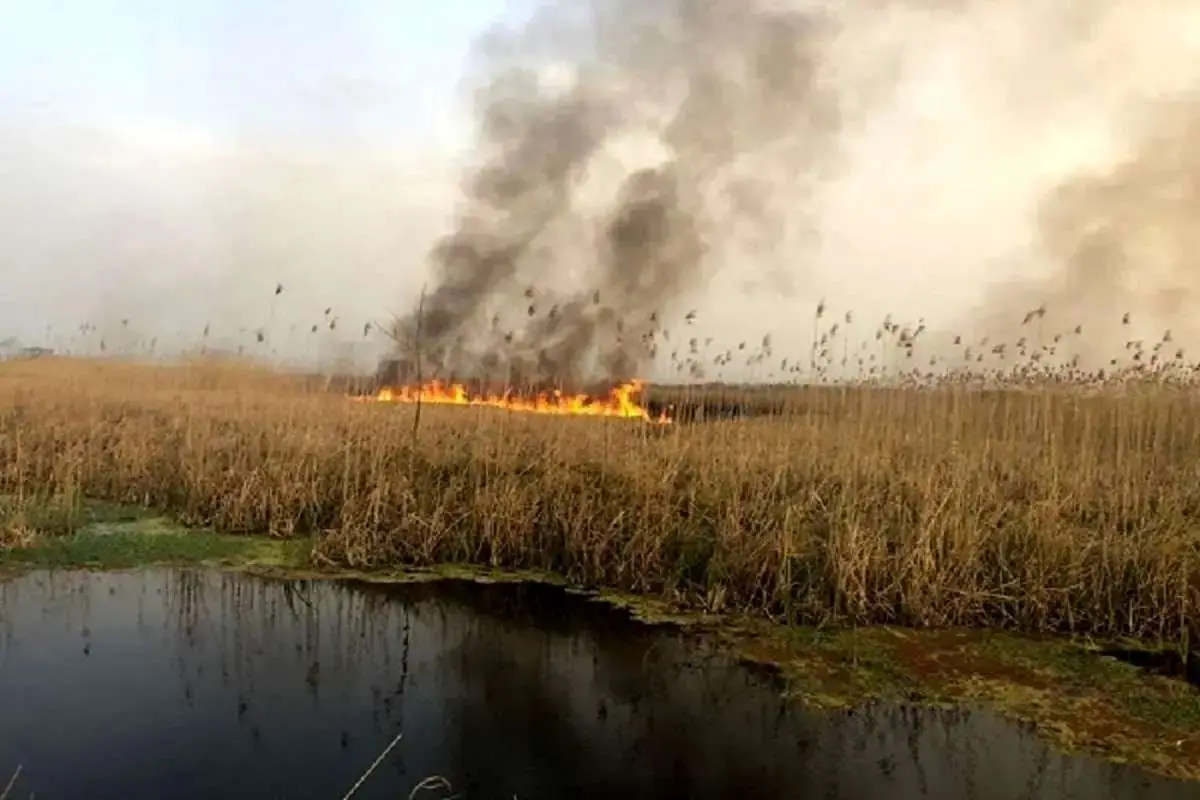 هورالعظیم به بنبست رسید هورالعظیم به بنبست رسید