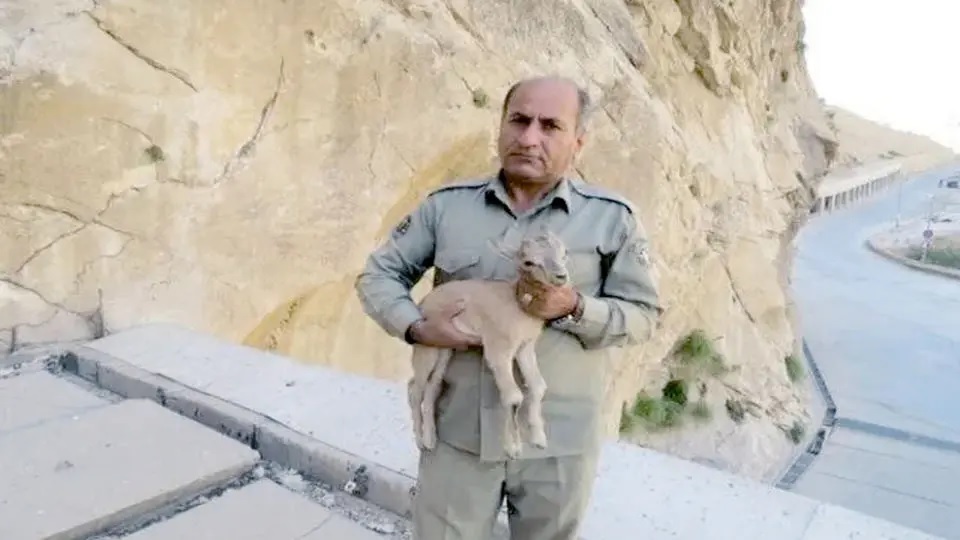 ۱۰۳ روز بلاتکلیفی درباره پرونده قتل یک محیط بان