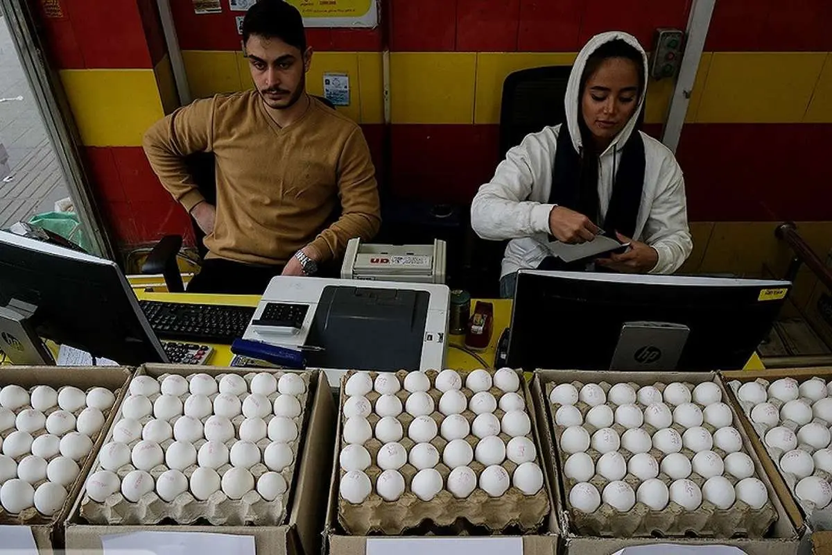 قیمت تخم مرغ