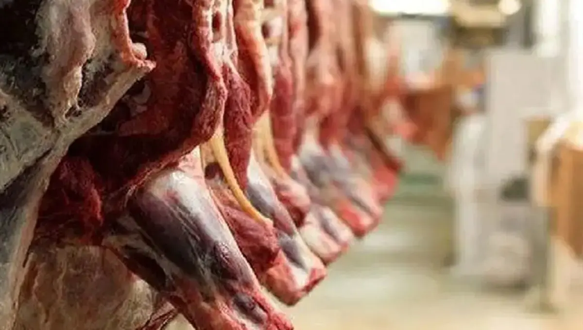 واردات گوشت قرمز