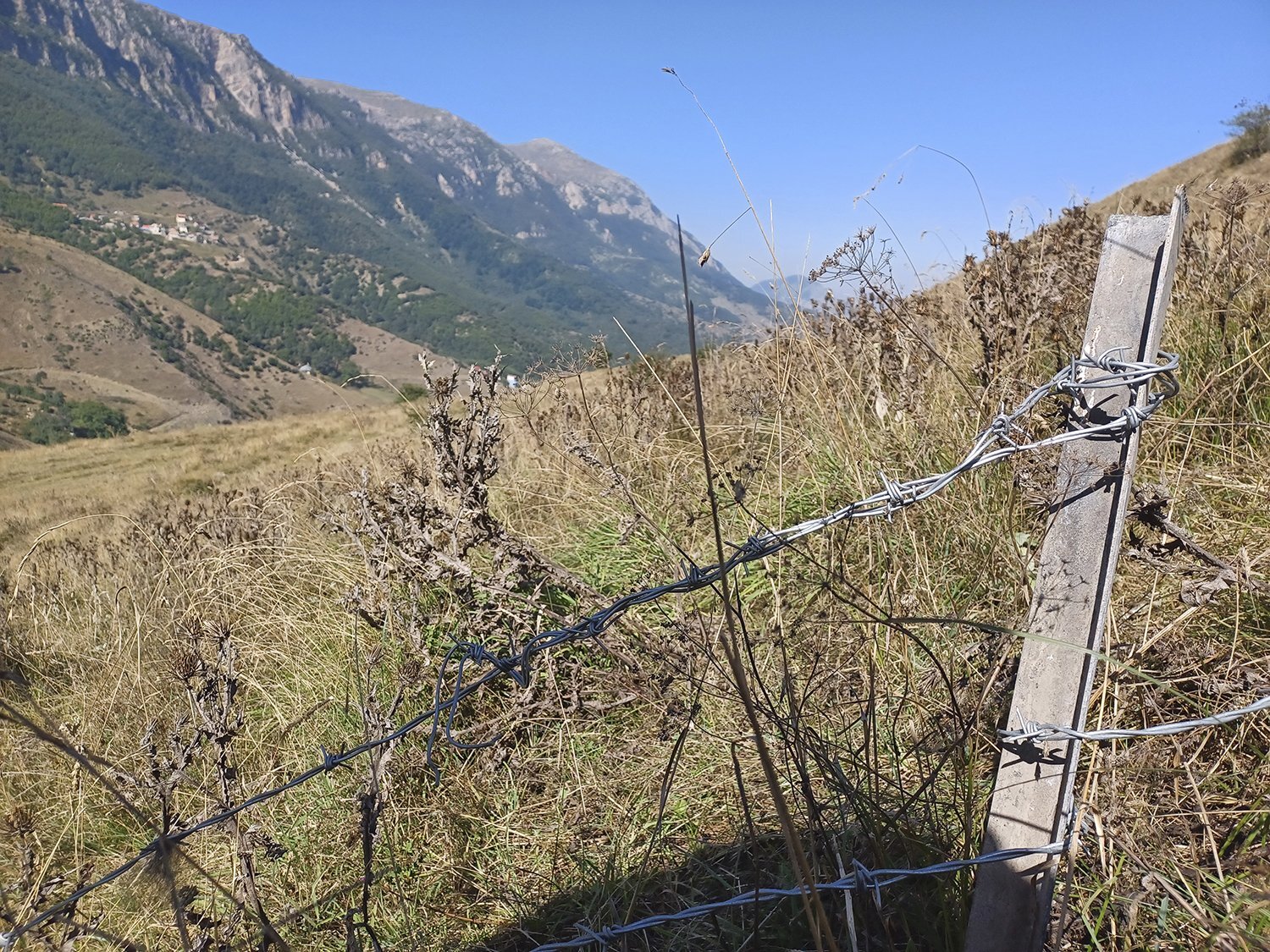 حلقه سیمخاردار بر گردن مراتع ملی حلقه سیمخاردار بر گردن مراتع ملی