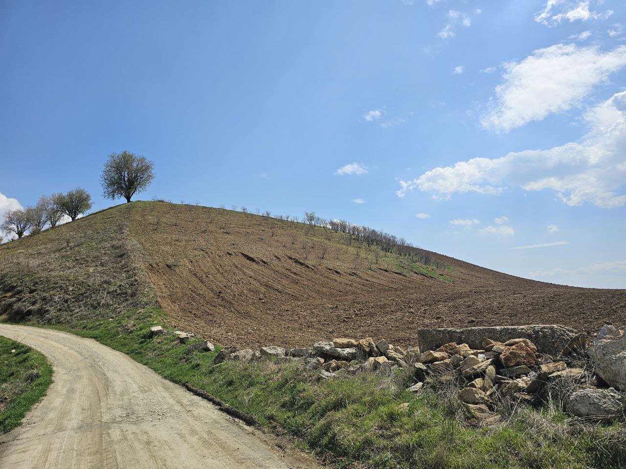 میراث را به یونجه فروختند