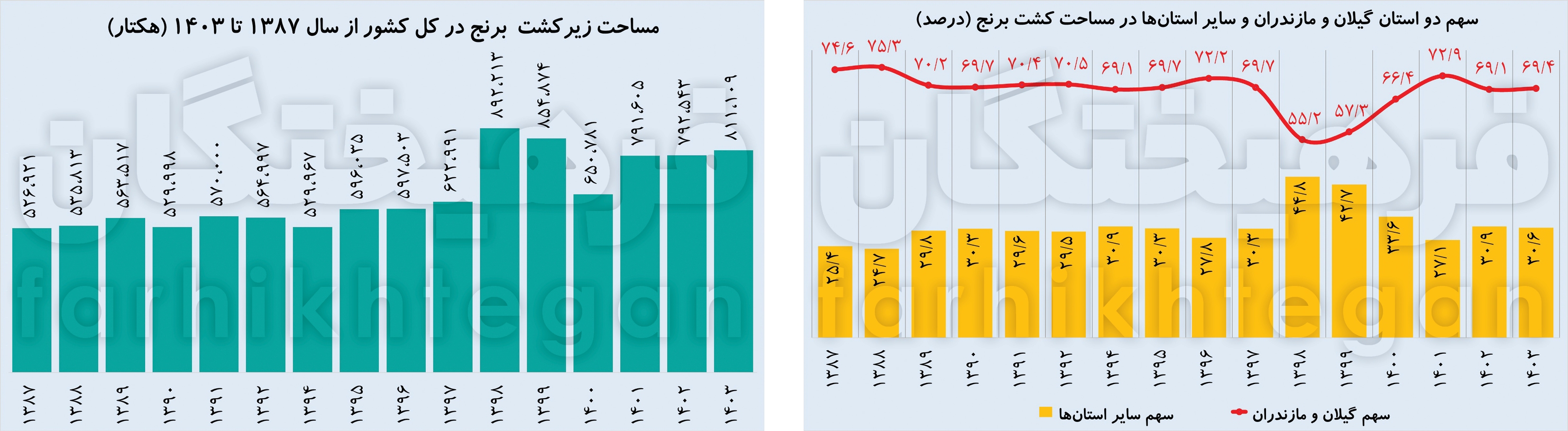 کاشت و تولید ۳۰ درصد برنج در استان‌های کم‌آب ایران