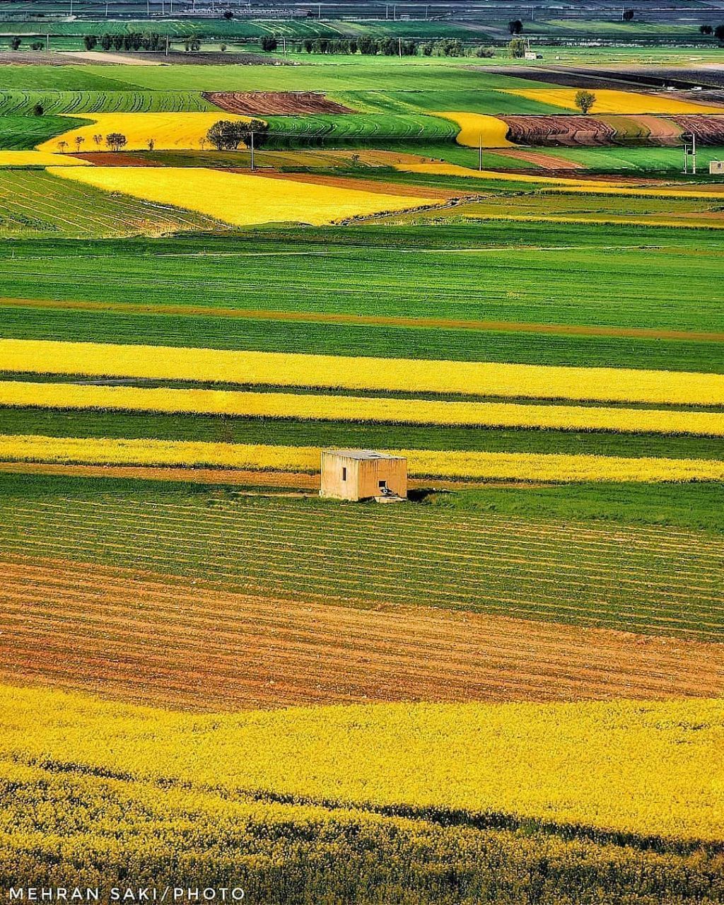 طبیعت زیبای نهاوند