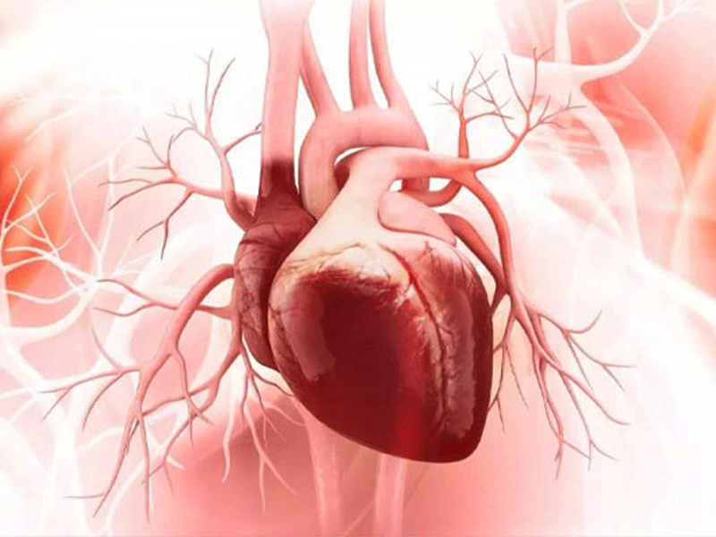 هشدار درباره افزایش بیماری‌های قلبی در فصل آنفلوانزا