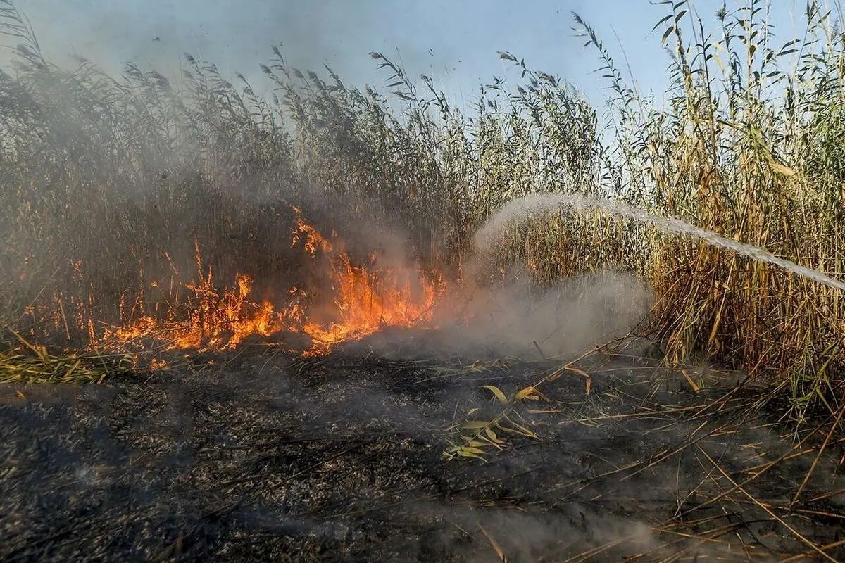 هورالعظیم در آتش، دولتها در مناقشه هورالعظیم در آتش، دولتها در مناقشه