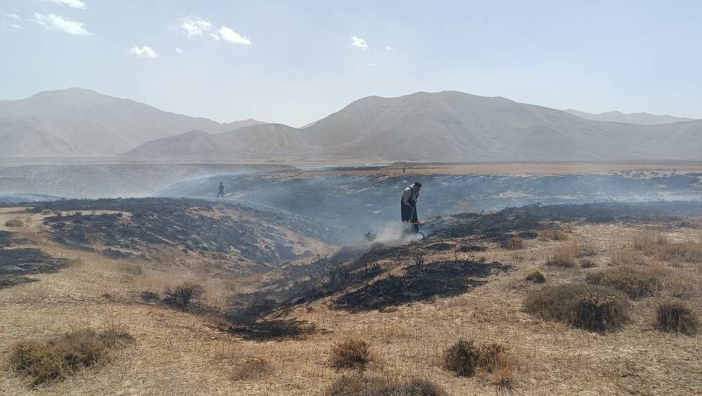 مهار آتش سوزی در پارک ملی لار