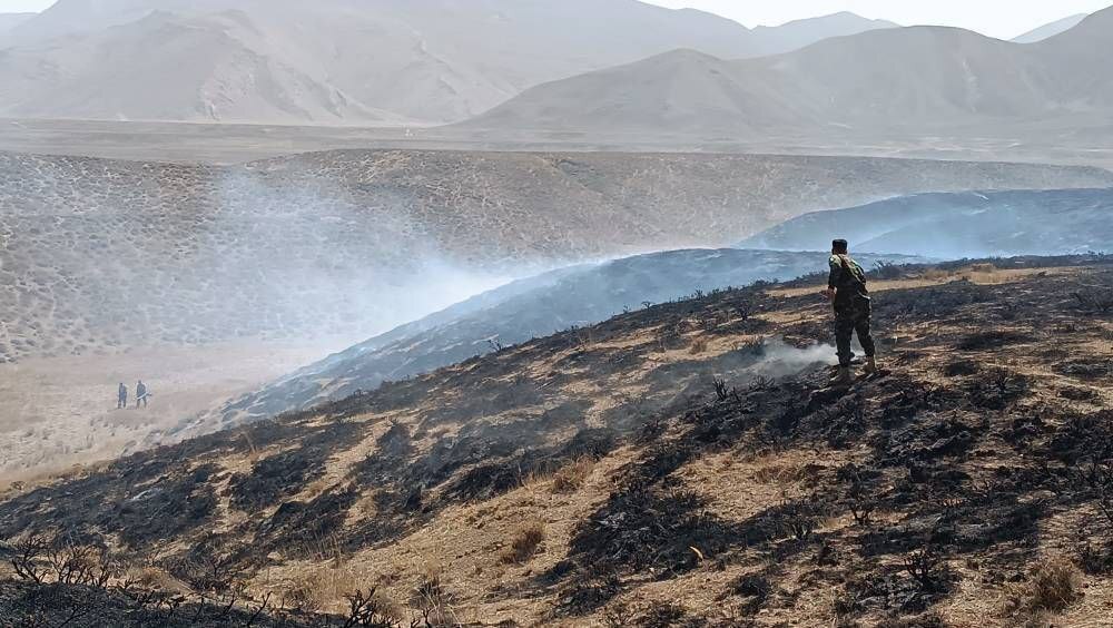 آتش سوزی در پارک ملی لار