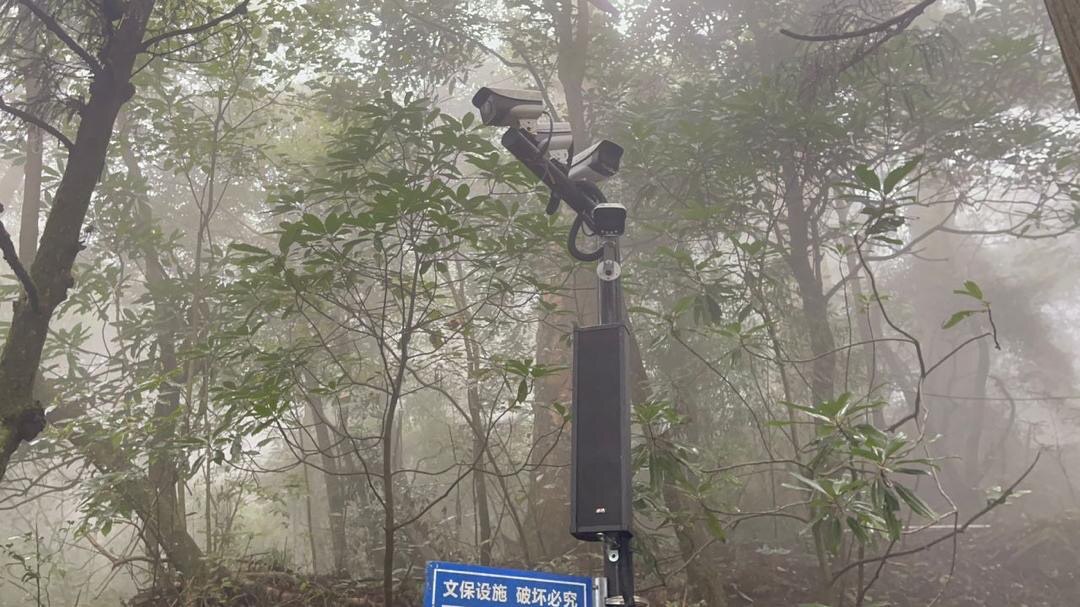 معاون رئیس جمهور در منطقه حفاظت‌شده تیان‌موشان چین