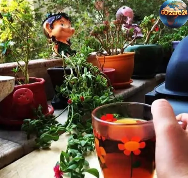 عکس/ بالکن‌ با صفا و زیبای خانه مهراوه شریفی نیا